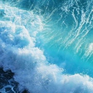 Meet your Posher, Beck